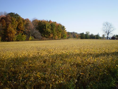 Property photo 2 - 202+/- Acres Offered in 7 Tracts